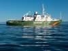 Greenpeace-KeriColes0001