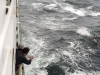 Greenpeace PEOPLE VS. OIL
WEST COAST SHIP TOUR MAY 19th-28th 2015 Keri Coles